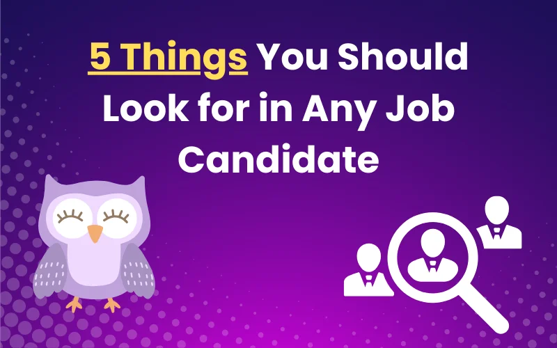 5 Things You Should Look for in Any Job Candidate